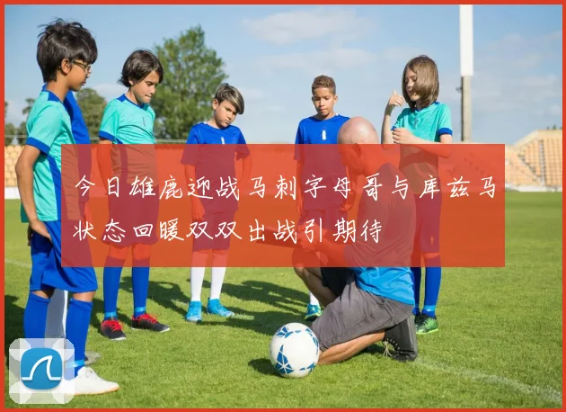 今日雄鹿迎战马刺字母哥与库兹马状态回暖双双出战引期待