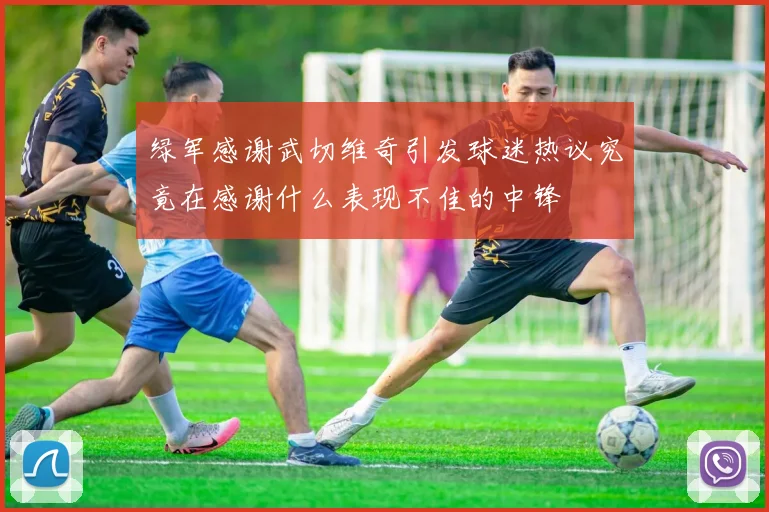 绿军感谢武切维奇引发球迷热议究竟在感谢什么表现不佳的中锋